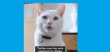Twitter Provides Auto Captions for All Video Uploads in Tweets